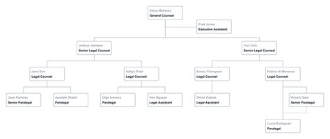 Company Structure Diagram Template