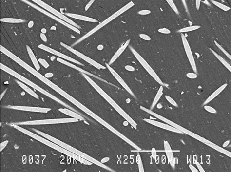 A Local Sem Micrograph Of A 30wt Glass Fiber Reinforced Polyarylamide Download Scientific