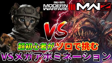 【call Of Duty Modern Warfare Iii】ゾンビモードの超初心者がソロで高難易度エリアのボス「メガアボミネーション