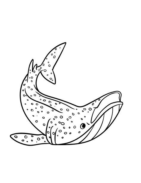Whale Shark Isolated Coloring Page for Kids 17022936 Vector Art at Vecteezy