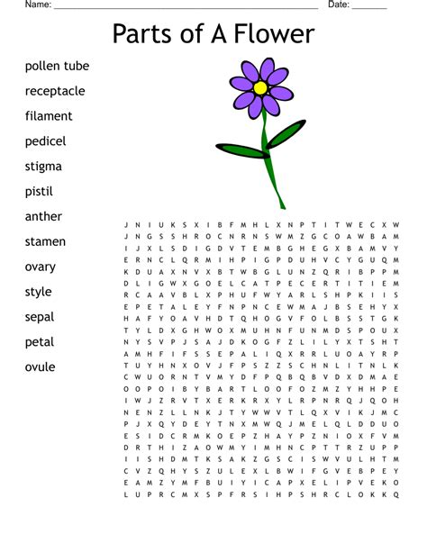 Parts Of A Flower Word Search Wordmint