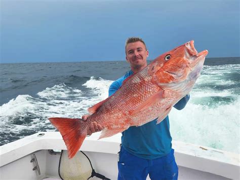 8 Best Red Snapper Fishing Spots in the Gulf of Mexico for 2024