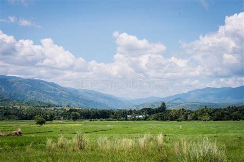 Mountains of Cordillera, Nueva Ecija, Philippines Stock Image - Image of ecology, explore: 102039651