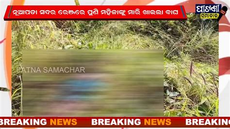 Breaking ପୁଣି ଜଣେ ମହିଲାଙ୍କୁ ମାରି ଖାଇଲା ବାଘ Patnasamachar Patnagarh