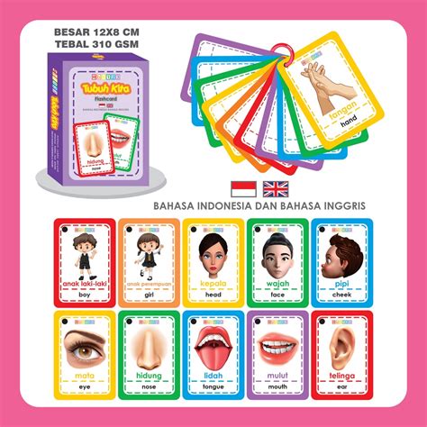 Jual Flashcard Anggota Tubuh Kartu Pintar Edukasi Belajar Anak Balita