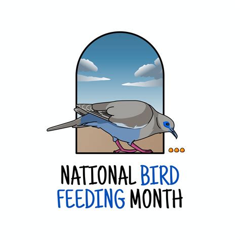 vector graphic of national bird feeding month good for national bird ...