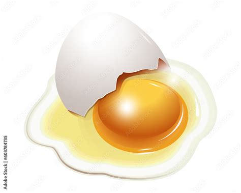 Broken Raw Egg With Shell Vector Drawing Yolk Of A Chicken Egg White