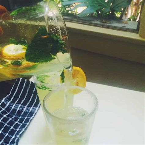 Ginger Mint Lemon Gin Cocktail - Ev's Eats