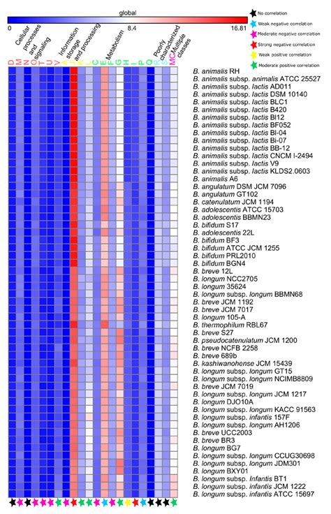 An Abundance Heat Map Of The Different Cogs Classes Present In The Download Scientific Diagram