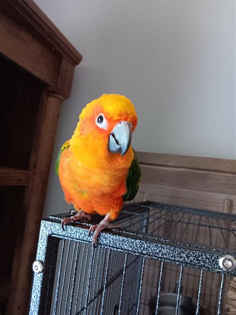 Pin by evelyn on Trending | Yummy foodies, Pretty food, Food obsession