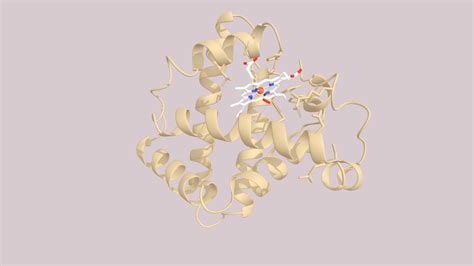 Oxy-Myoglobin Molecular Structure - Download Free 3D model by S.Duce ...