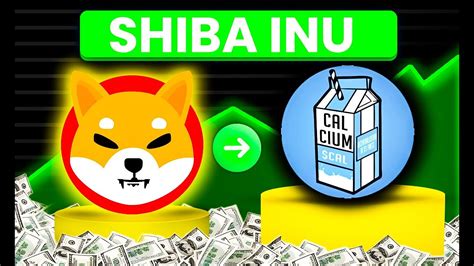 The Shiba Inu Launched A New Token The Community Took Over Youtube