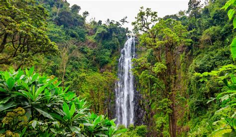 Walk From Materuni Village To Kuringe Waterfall Tanzania Specialist