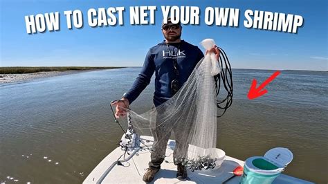 How To Find And Cast Net Shrimp In Your Area YouTube