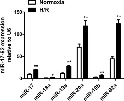 Pdf Microrna A Inhibition Attenuates Hypoxia Reoxygenation Induced