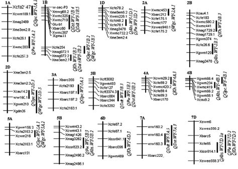 Partial Genetic Linkage Map Showing Qtls Detected In More Than Two