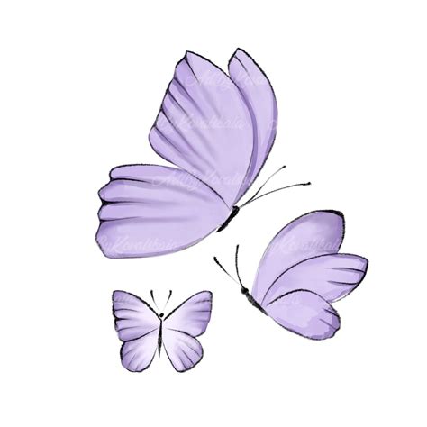 Butterfly Clipart, Watercolor Butterflies PNG, Digital Download - Etsy