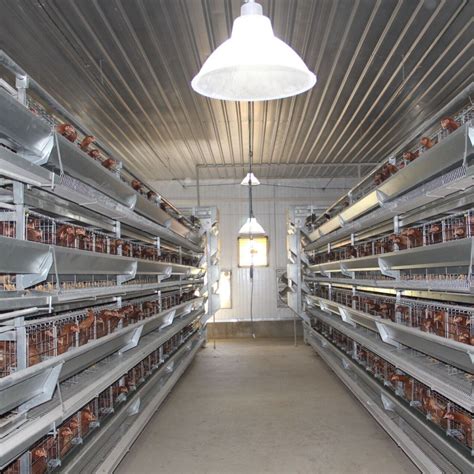 Poultry Chicken Cage Tiers H Type System Raising Farming Equipment