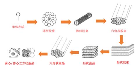 表面活性剂及卡波姆的增稠机理