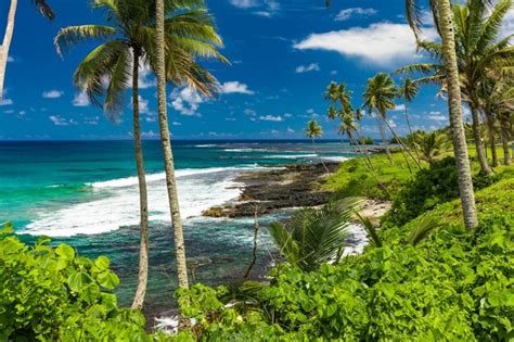 Playa Tropical En El Lado Sur De La Isla De Samoa Con Palmeras De Coco