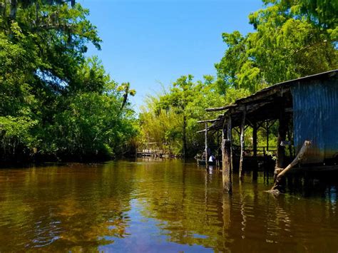 Riverbend Park Jupiter Florida A Vast Beautiful Active Park