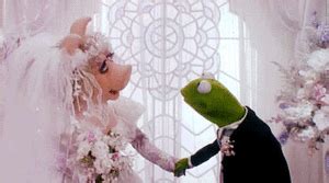 Miss Piggy & Kermit Images | Icons, Wallpapers and Photos on Fanpop