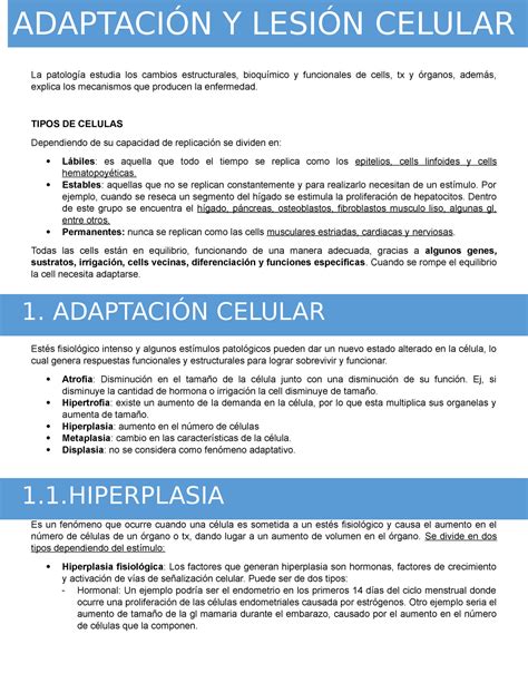 Lesi N Y Adaptaci N Celular Y Celular La Estudia Los Cambios