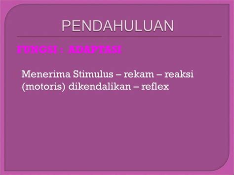 Anatomi Fisiologi Sistem Persarafan Ppt