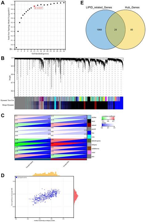 Identification And Validation Of Lipid Metabolism Related Key Genes As