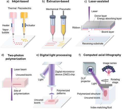 Schematic Illustrations Of Common D Bioprinting Strategies A