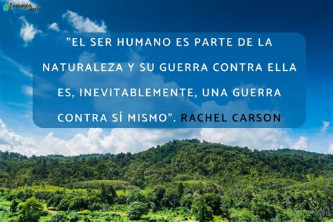 Frases De La Naturaleza Para Reflexionar