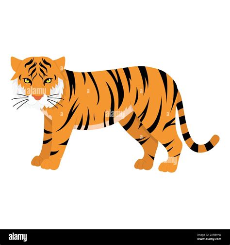 Asian bengal tiger, vector illustration Stock Vector Image & Art - Alamy