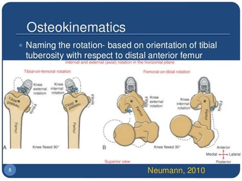 2 Biomechanics Of The Knee Joint Artho Osteo