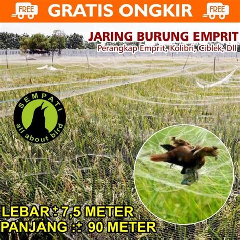 Jual Jaring Burung Jaring Padi Jaring Emprit Jaring Sawah 7 5 X 90