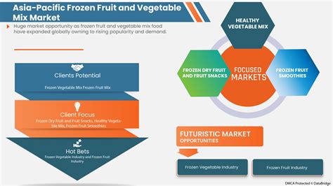 Asia Pacific Frozen Fruit And Vegetable Mix Market Segmentation