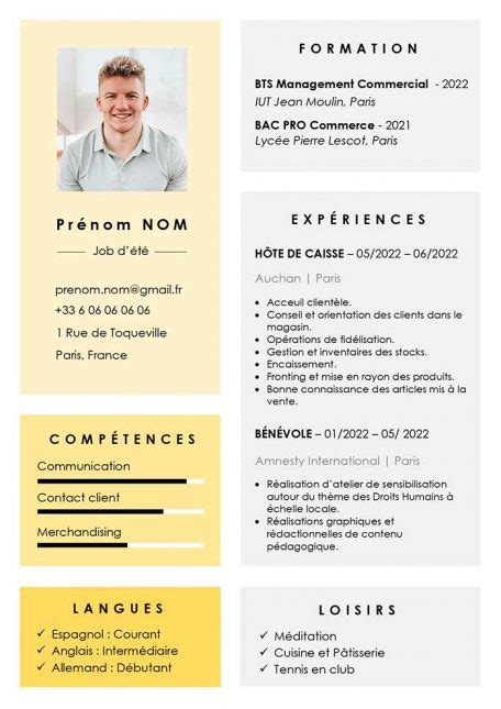 Mod Le De Cv D Taill Gratuit Exemple Word Cr Er Un Cv