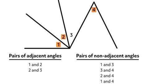 What are Adjacent Angles? [Video & Practice Questions]