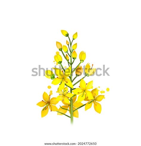 579 Amaltas Flowers Images, Stock Photos, 3D objects, & Vectors | Shutterstock