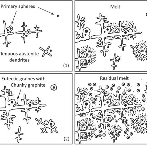 Formation Of Chunky Graphite In Hypereutectic Nodular Cast Iron Figure Download Scientific