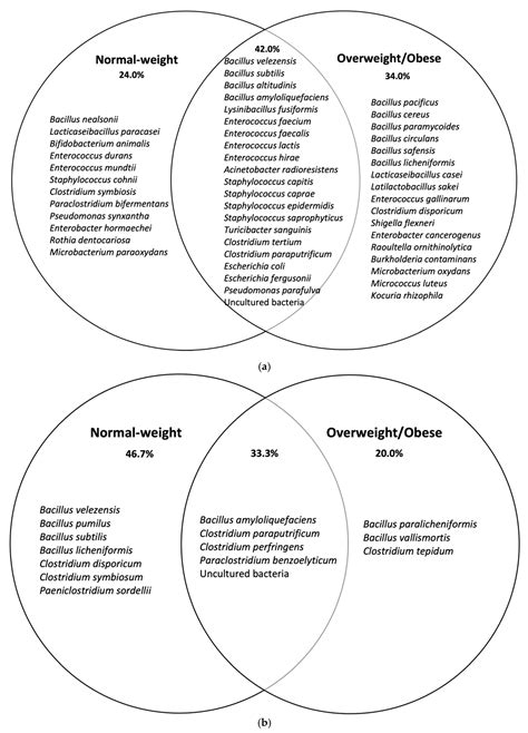 Anaerobic Vs Aerobic Venn Diagram