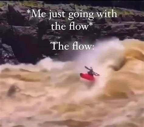 The Best Going With The Flow Memes Memedroid