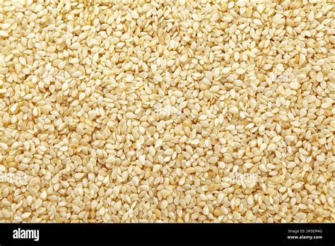 Sesame Isolated On White Background Full Depth Of Field Stock Photo