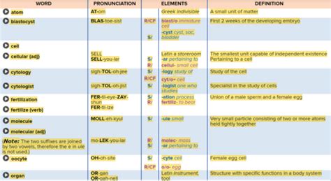 Med Term Chapter Flashcards Quizlet