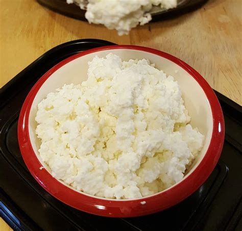 Instant Pot Homemade Cottage Cheese Recipe This Old Gal Recipe