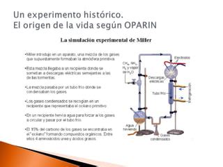 Tema El Origen De La Vida Y Evoluci N Ppt