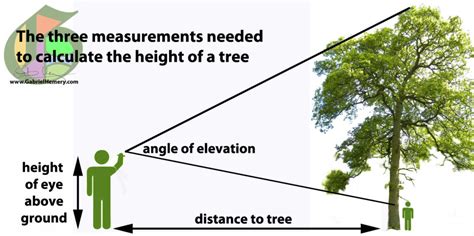 A Field Guide To Foresters Tools Northwest Natural Resource Group