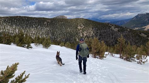 Missing Colorado Hiker 23 Found Dead In Rocky Mountain National Park