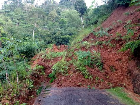 Tanah Longsor Di Kulon Progo Timbun Jalan Di Desa Gerbosari Tagar