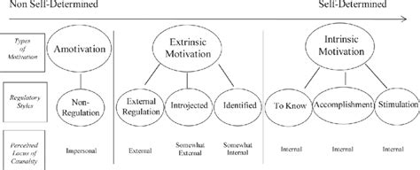 Continuum Of Motivation Self Determination Theory Note Visual