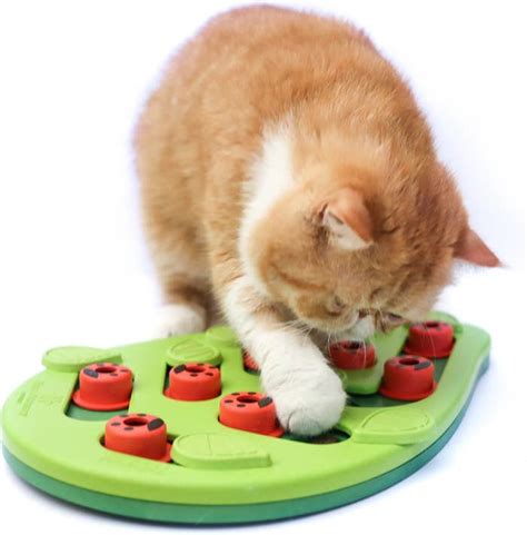 21 Best Cat Toys For Bored Cats In 2024